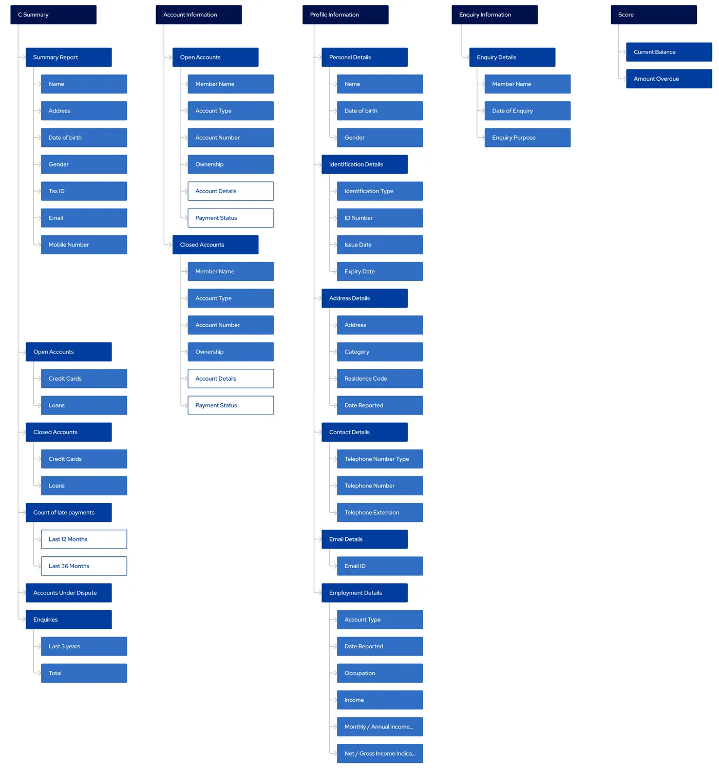 Information architecture of the credit report